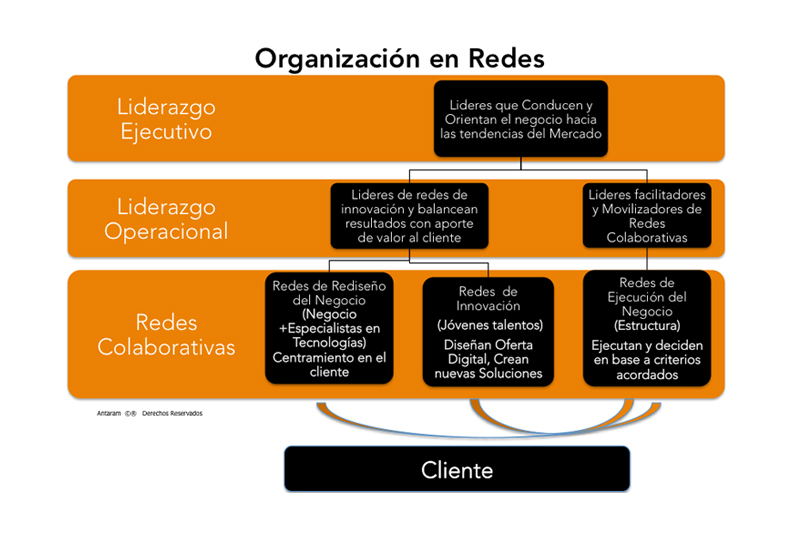 De la jerarquía a la redarquía
